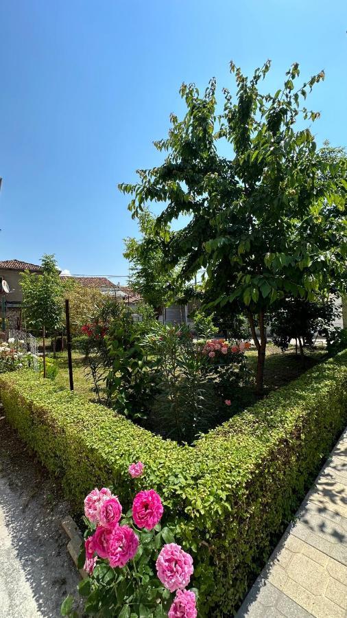 Js House 1 * Shkoder